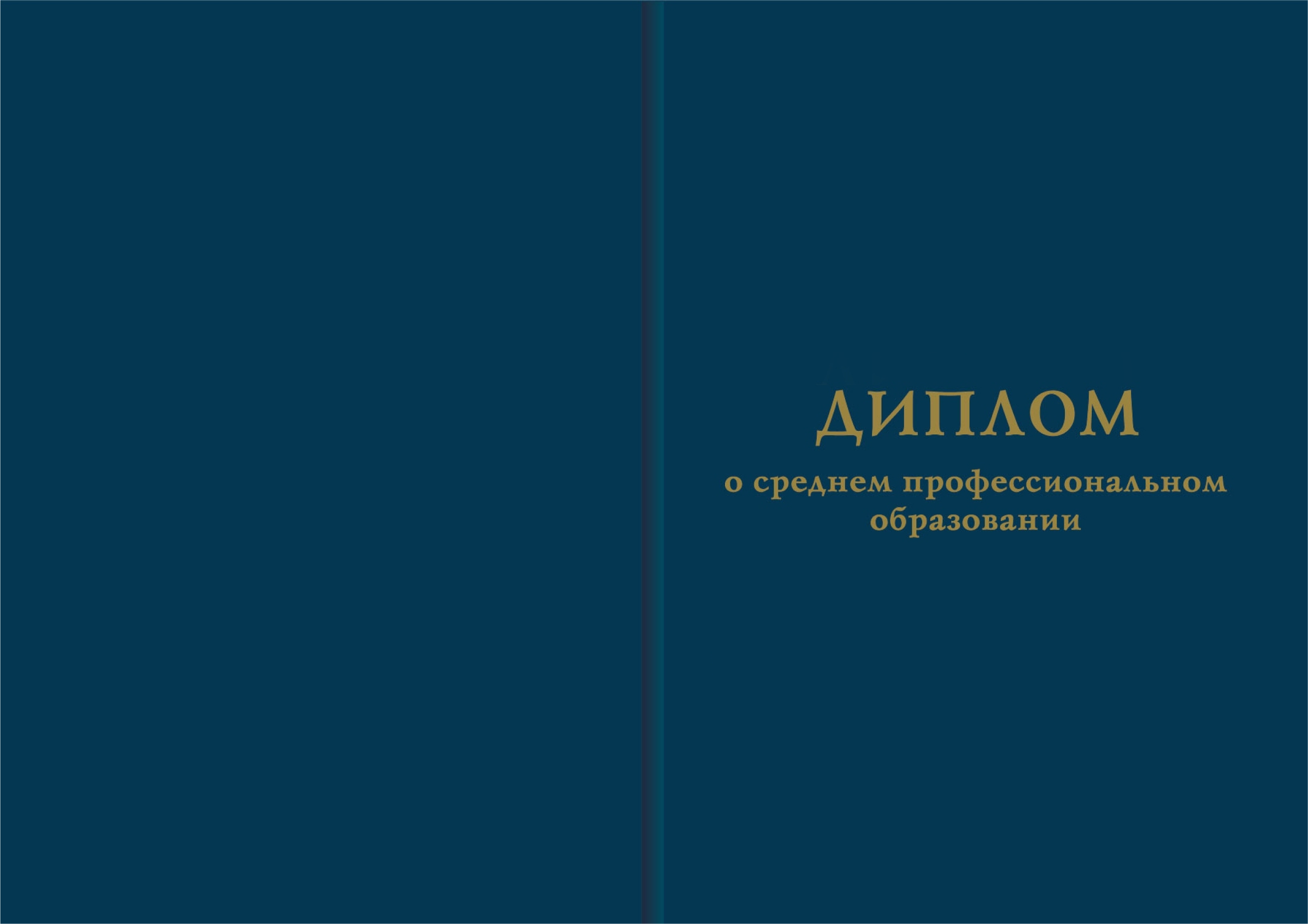 39.02.01 Социальная работа: обучение в колледже дистанционно после 11  классов на специалиста по социальной работе заочно, получить диплом о  среднем профессиональном образовании онлайн - АНПОО «НСПК» АНПОО 